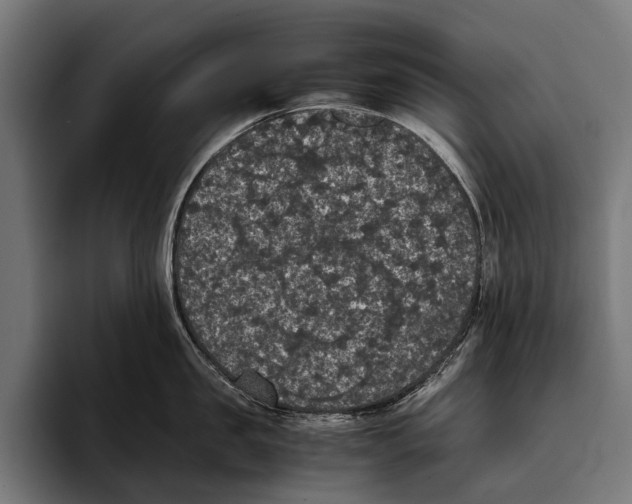 X0000093370957200711081522