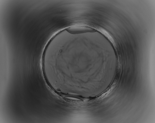 X0000093370958200711081522