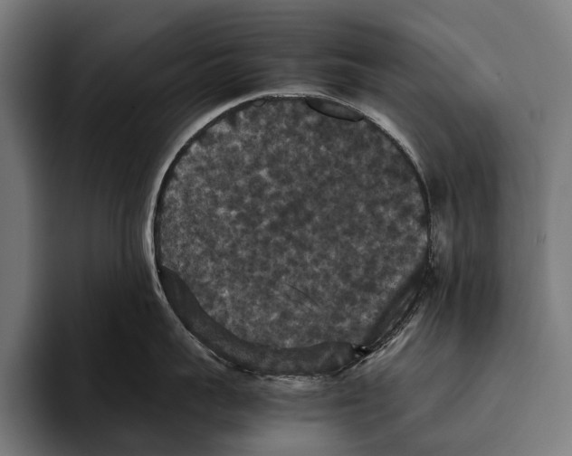 X0000093370959200711081522