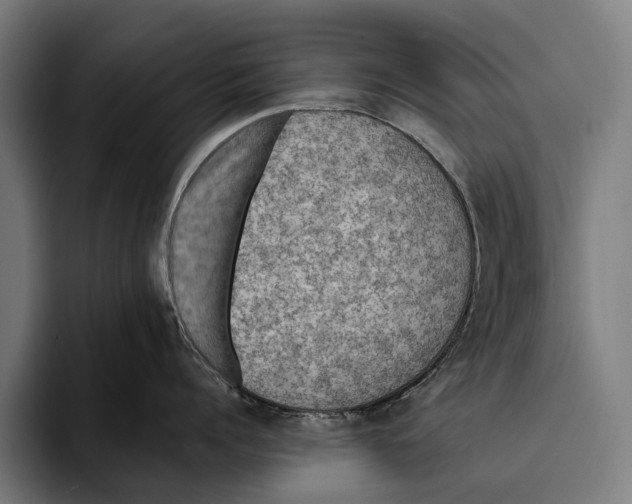 X0000093370960200711081522
