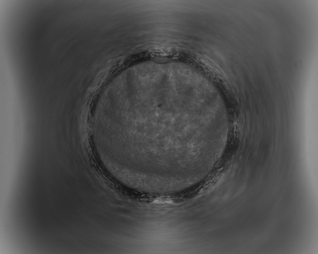 X0000093370961200711081521