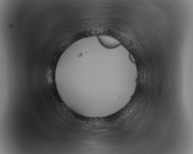 X0000093370962200711081521