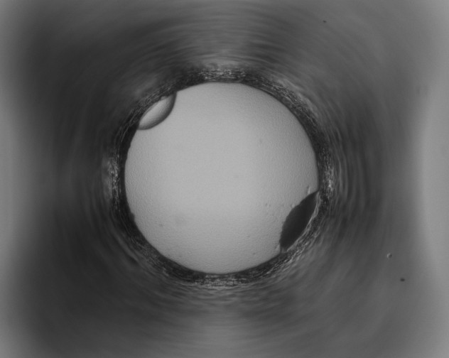 X0000093370964200711081521