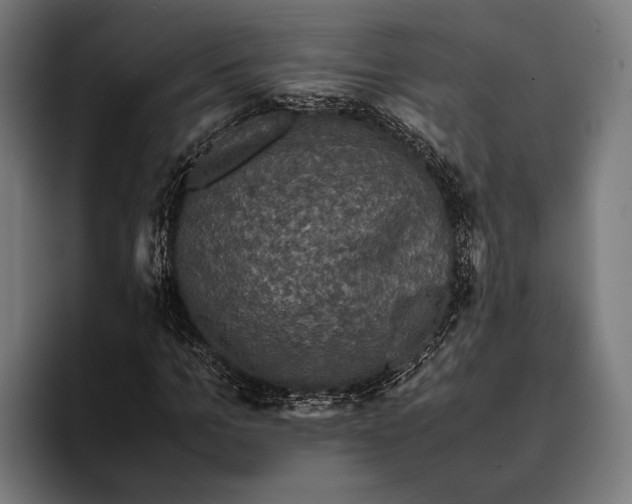 X0000093370965200711081521
