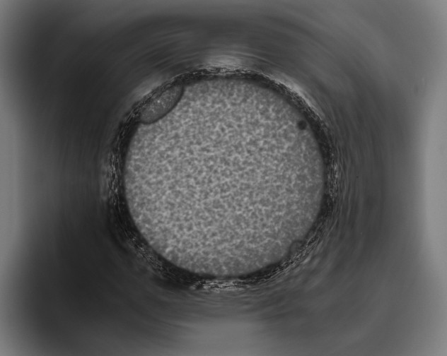 X0000093370967200711081521