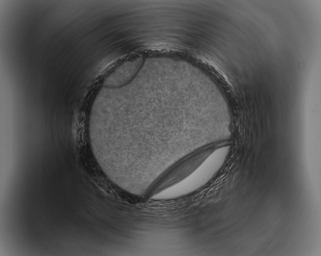 X0000093370968200711081521