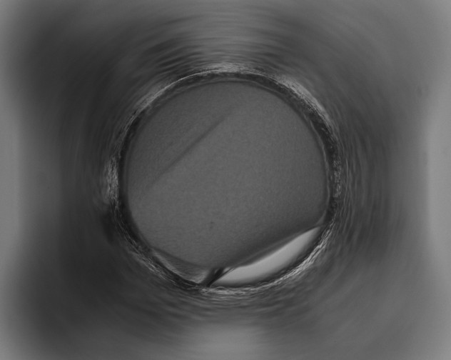 X0000093370969200711081521