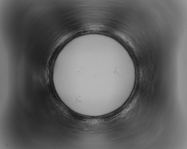 X0000093370970200711081521