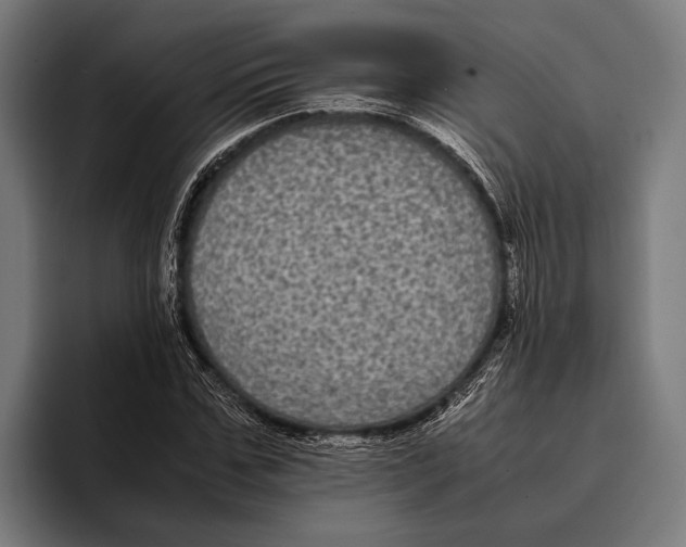 X0000093370971200711081521