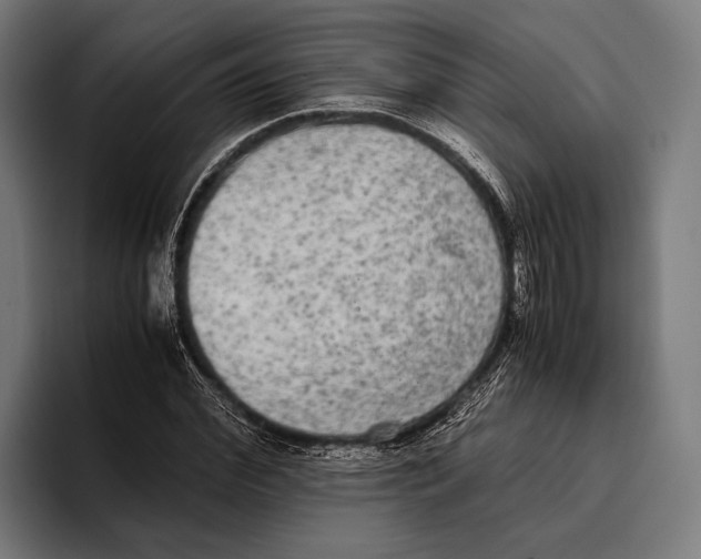 X0000093370972200711081521