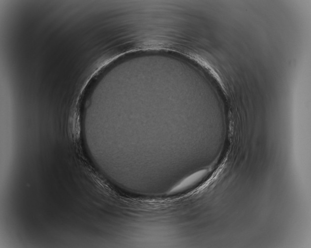 X0000093370973200711081521