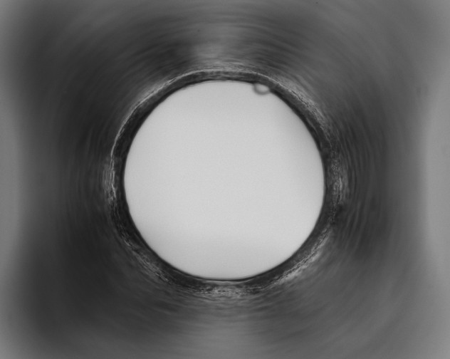 X0000093370974200711081521