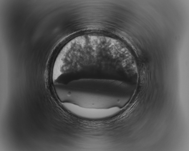 X0000093370975200711081521