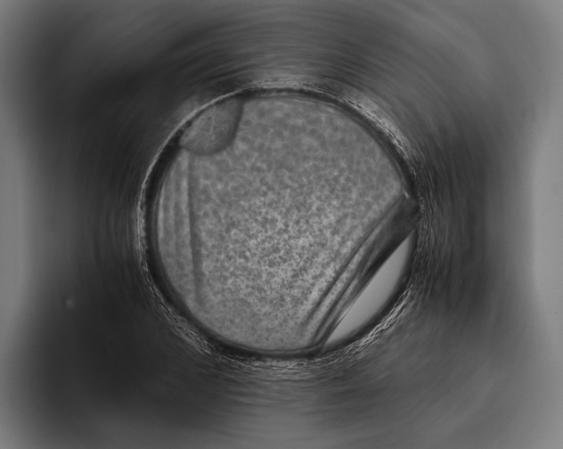 X0000093370976200711081521
