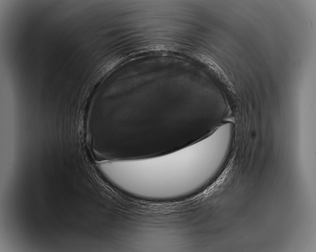 X0000093370977200711081521