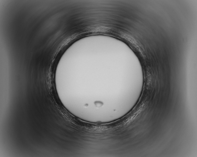 X0000093370978200711081521