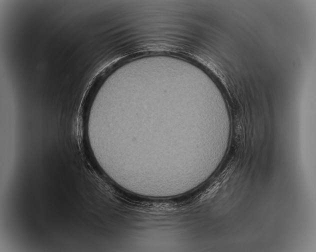 X0000093370979200711081521