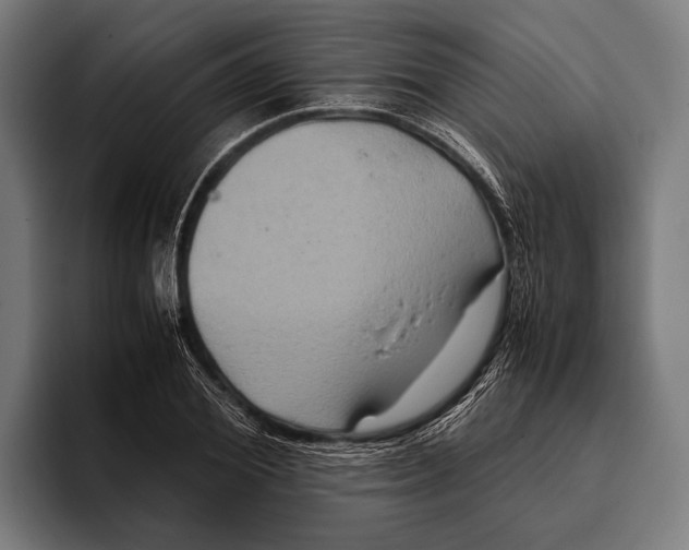 X0000093370980200711081521
