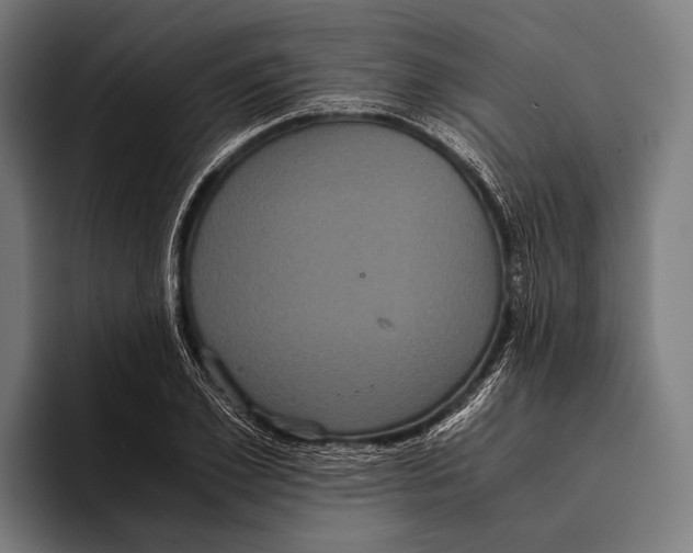 X0000093370981200711081521