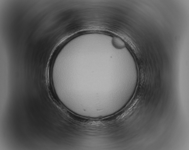 X0000093370982200711081521