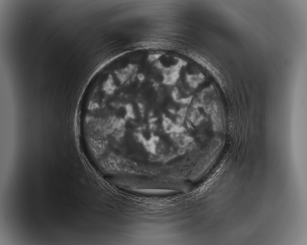 X0000093370983200711081521
