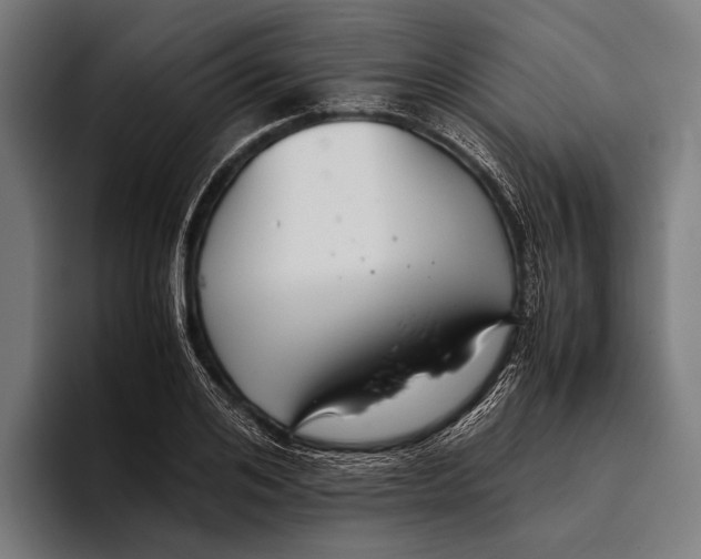 X0000093370984200711081521