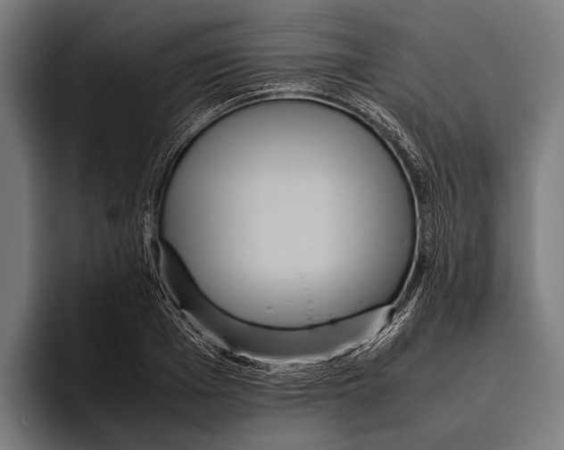 X0000093370985200711081521