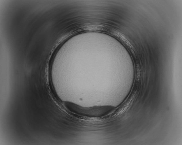X0000093370986200711081521