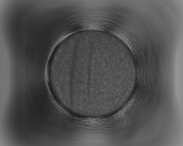 X0000093370987200711081521