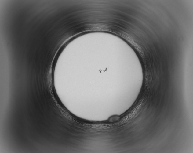 X0000093370988200711081521