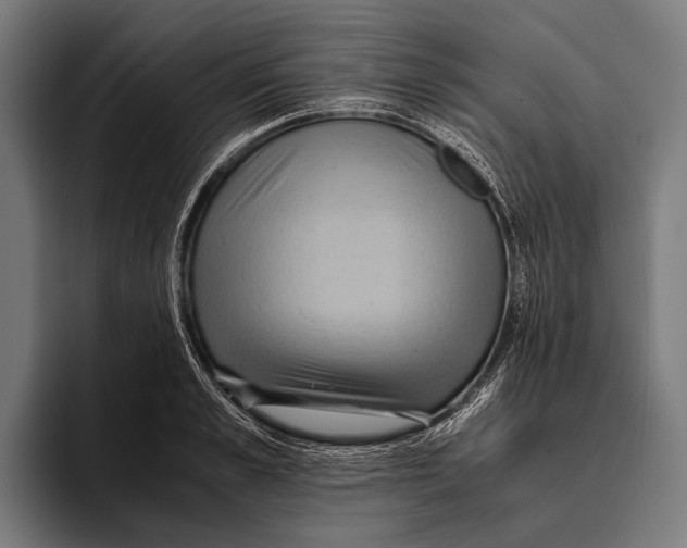 X0000093370989200711081521