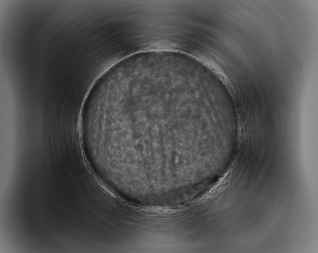 X0000093370990200711081521