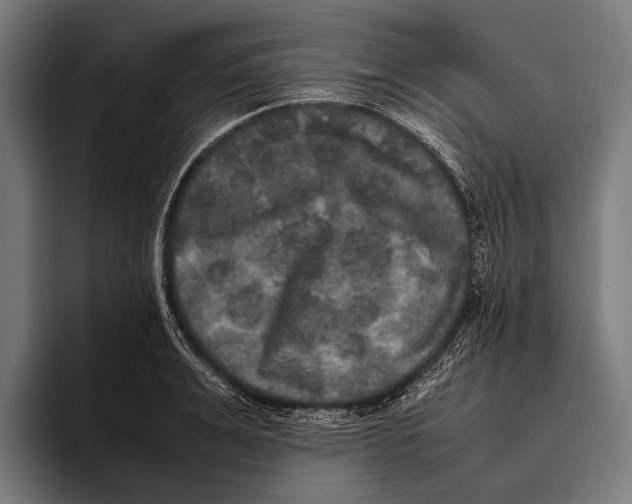 X0000093370991200711081521