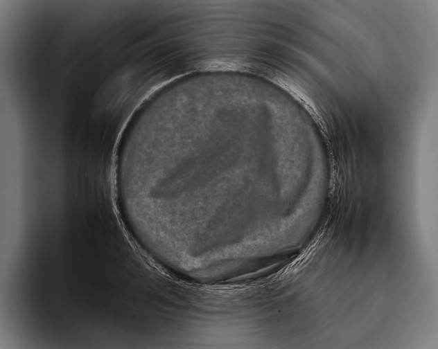 X0000093370992200711081521