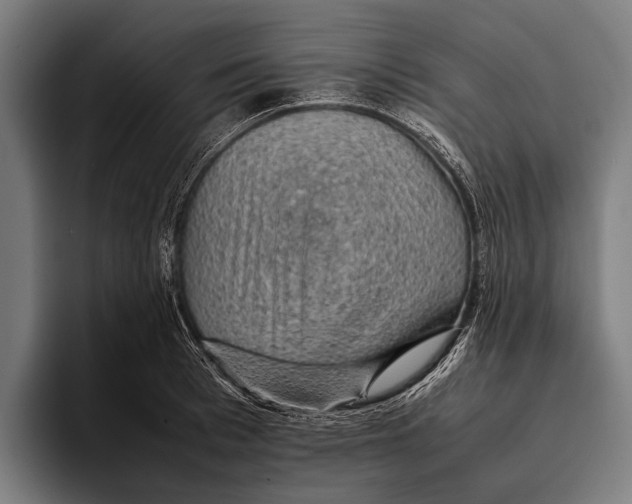 X0000093370993200711081521