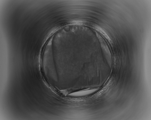 X0000093370994200711081521