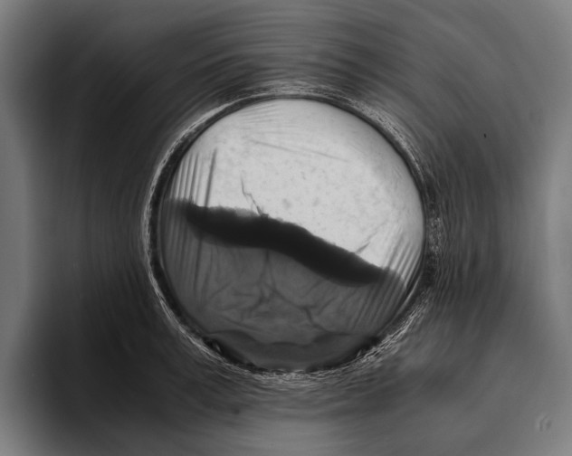 X0000093370995200711081521