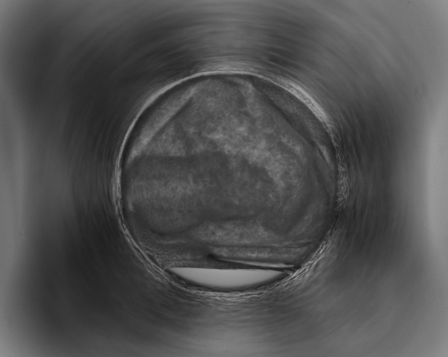 X0000093370996200711081521