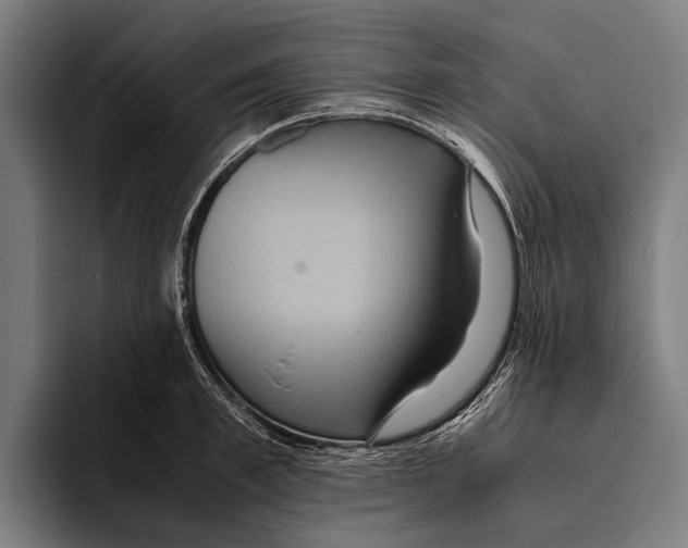 X0000093370997200711081521