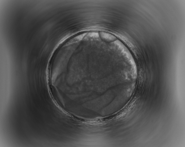 X0000093370998200711081521