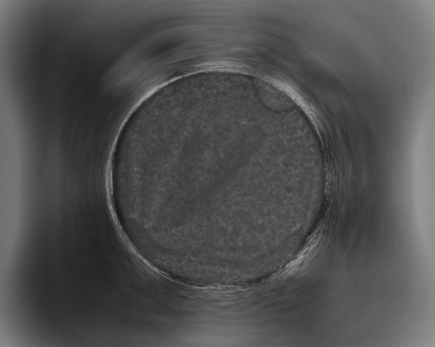 X0000093370999200711081521