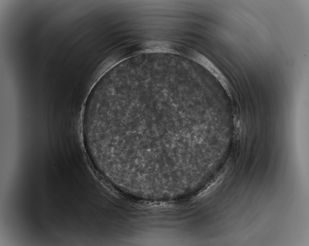 X0000093371002200711081521