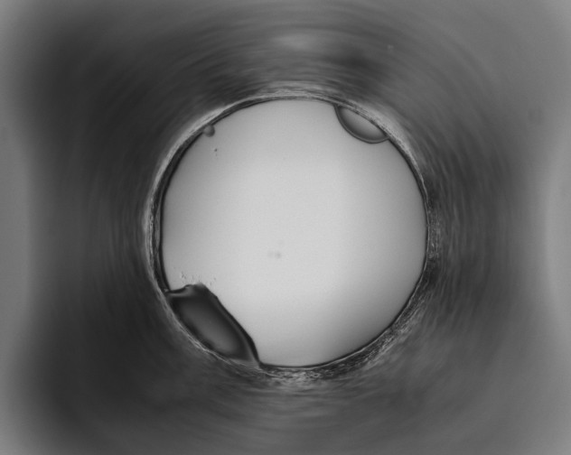 X0000093371003200711081521