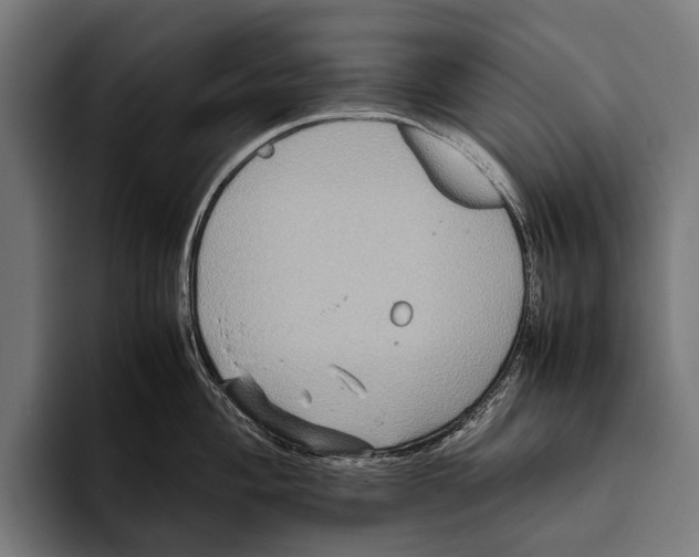 X0000093371004200711081521