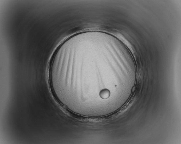 X0000093371005200711081521