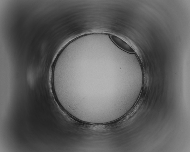 X0000093371006200711081521
