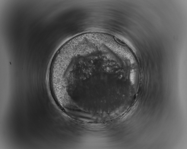 X0000093371007200711081521