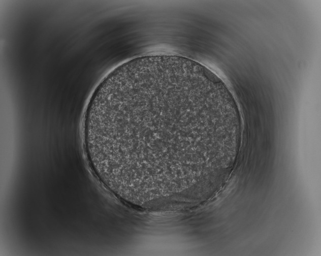 X0000093371008200711081521