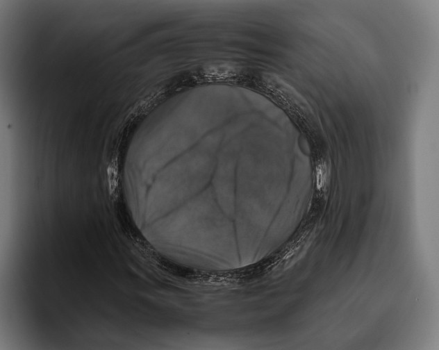 X0000093371011200711081520