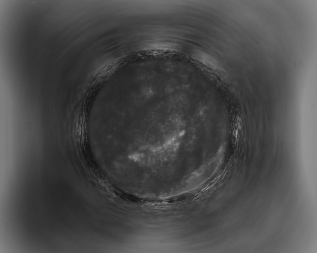 X0000093371014200711081520